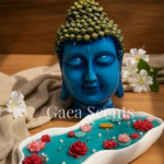 Lotus Pond in a concrete tray