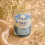 Daisy Jar Candles
