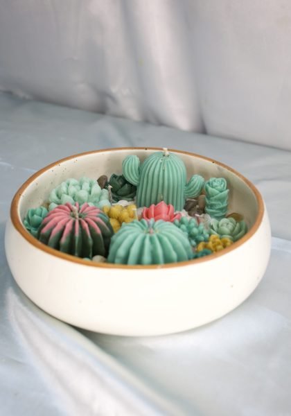 Succulent plant candle(1)